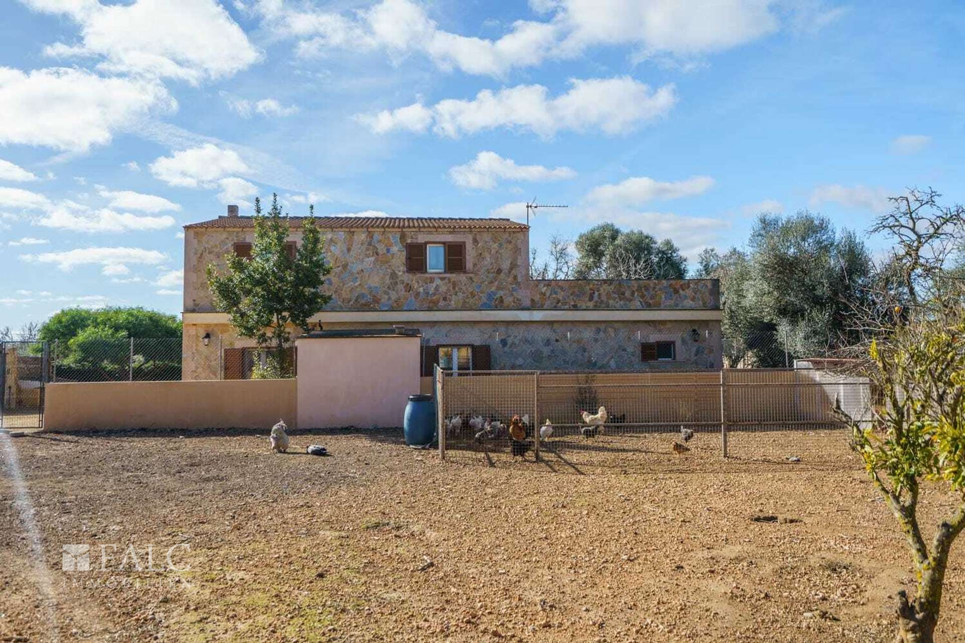 Hause